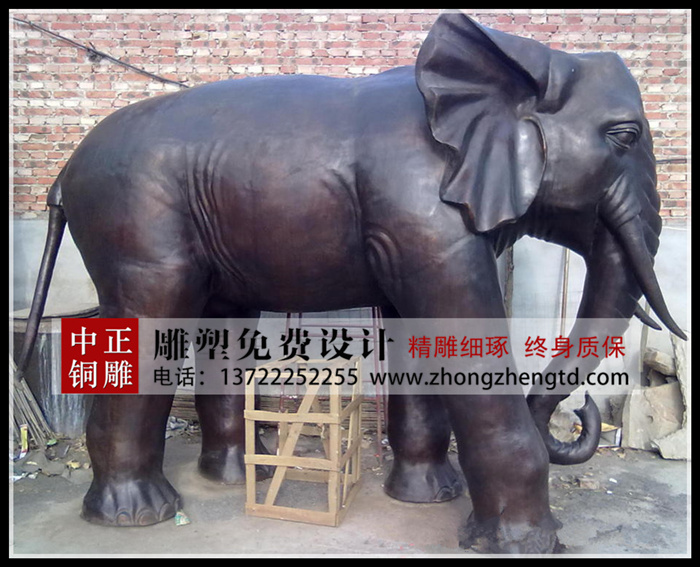 2019011158117529.jpg 2019011158117529.jpg