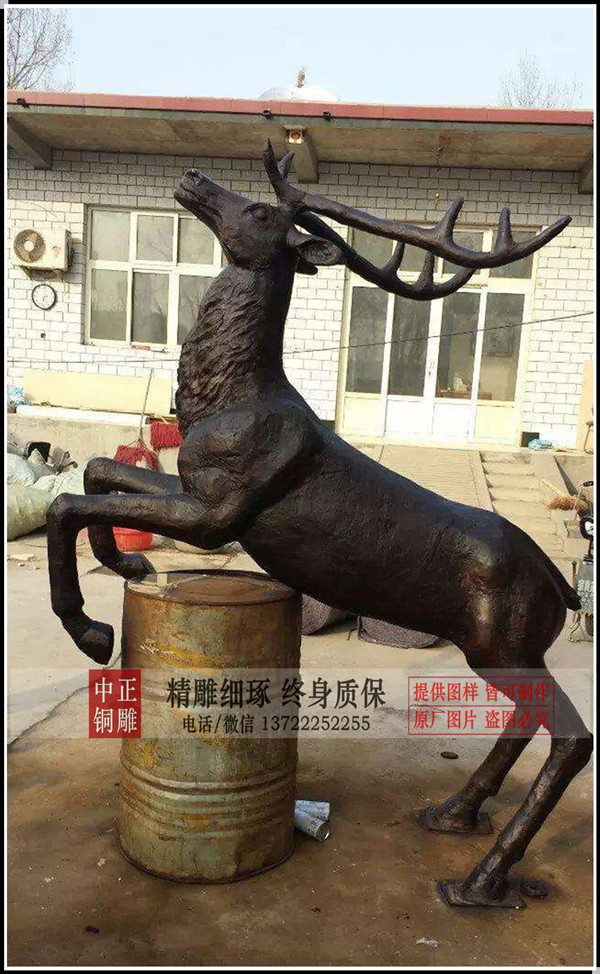 timg (4)_副本.jpg timg (4)_副本.jpg