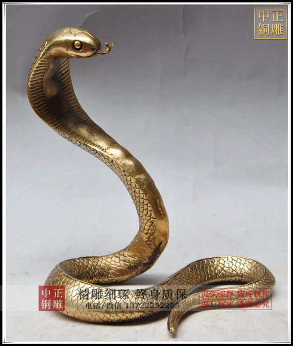 timg_image&quality=80&size=b9999_10000&sec=1562839111198&di=0fcebfc36d11edc8000a14a7c1852629&imgtype=0&src=http%3A%2F%2Ffile7.gucn.com%2Ffile3%2FCurioPicfile%2F20160124%2FGucn_20160124607516210636Pic5.jpg timg_image&quality=80&size=b9999_10000&sec=1562839111198&di=0fcebfc36d11edc8000a14a7c1852629&imgtype=0&src=http%3A%2F%2Ffile7.gucn.com%2Ffile3%2FCurioPicfile%2F20160124%2FGucn_20160124607516210636Pic5.jpg