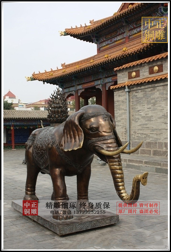 11376857181_576238483.jpg 11376857181_576238483.jpg