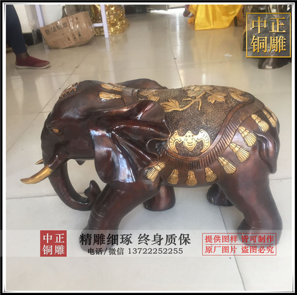 4549958735_1913940298.jpg 4549958735_1913940298.jpg