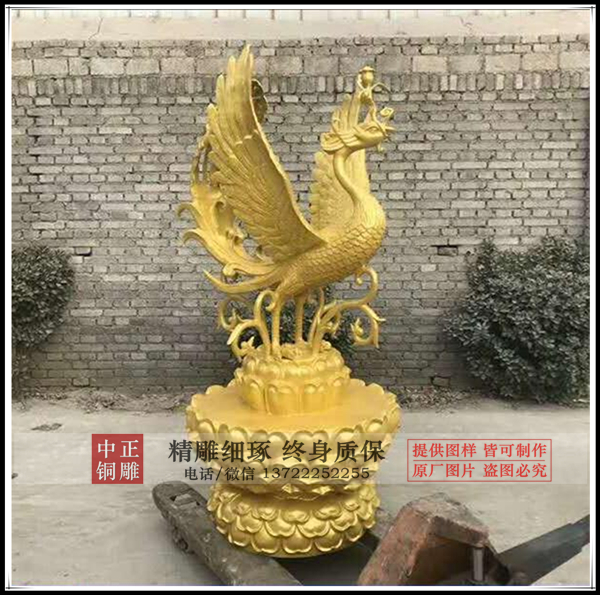 20181112095913_3253_zs_sy.jpg 20181112095913_3253_zs_sy.jpg