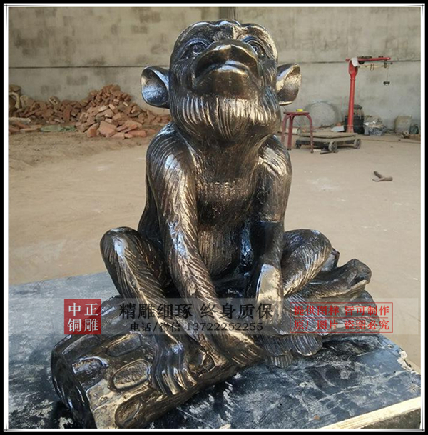 timgCARP1TDS.jpg timgCARP1TDS.jpg