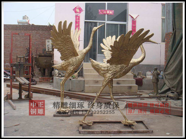 timg (2).jpg timg (2).jpg