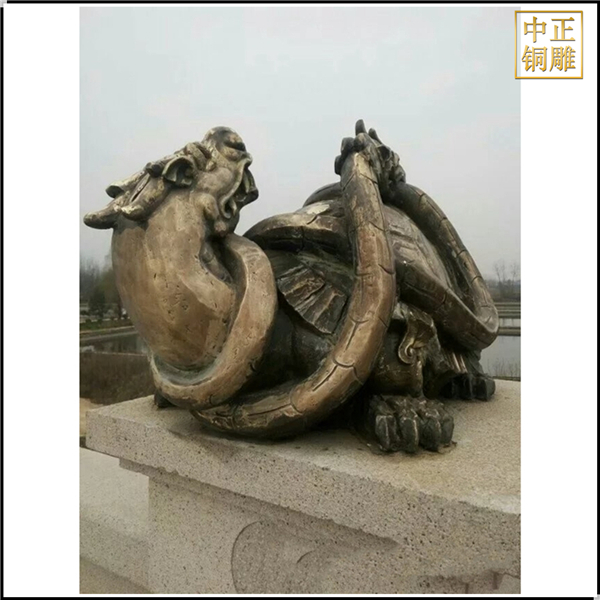 龍龜?shù)袼軆r格.jpg 龍龜?shù)袼軆r格.jpg